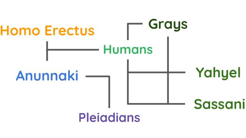 Nodes