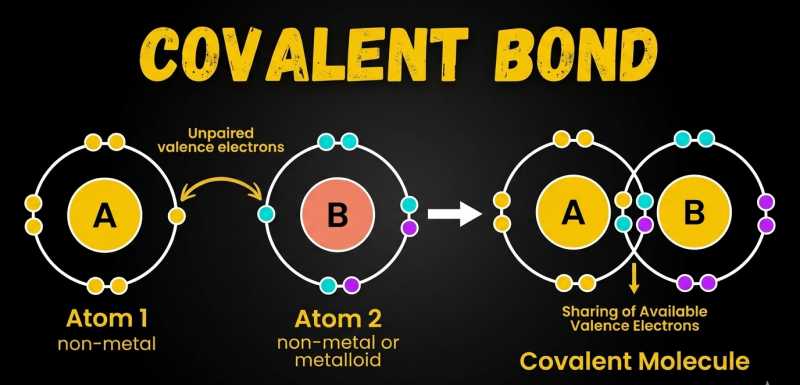 Covalent Bonding