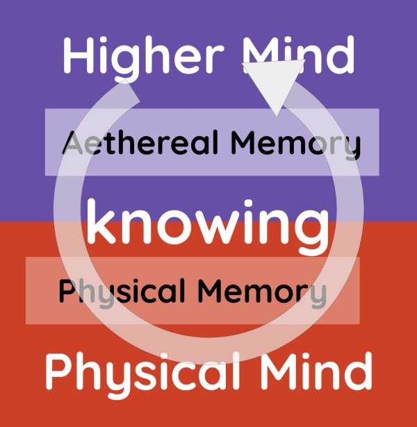 The Loop of Ignorance and Knowing