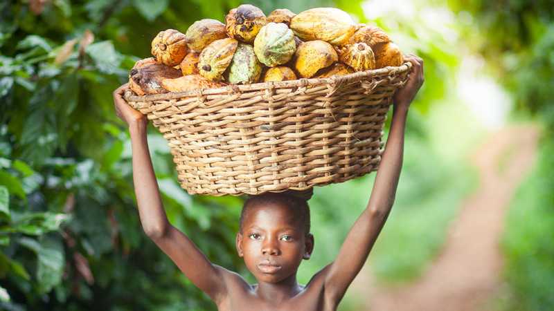 Natural Remedies for Emaciation