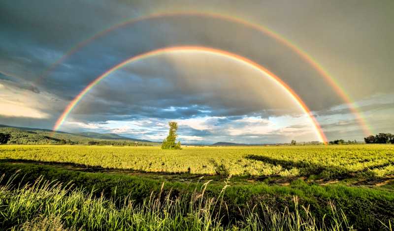Rainbows and Prisms