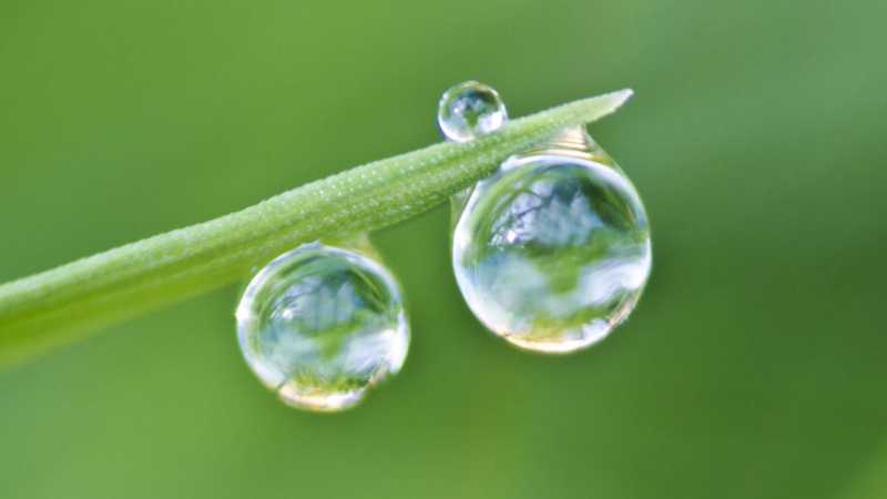 Surface Tension