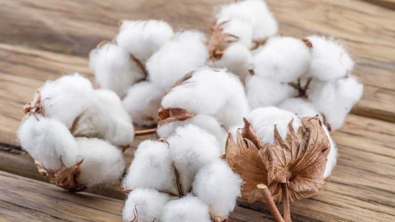 Cotton and Mats